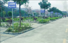 柳州诚兴驾校 诚兴驾校训练场-报名价格费用