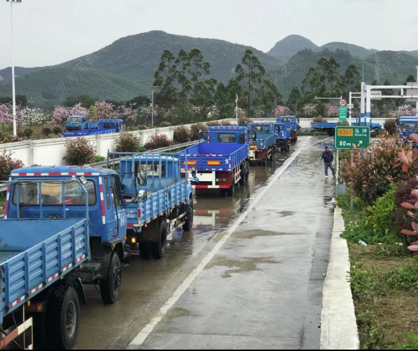 来宾马坪驾校训练场-马坪考场