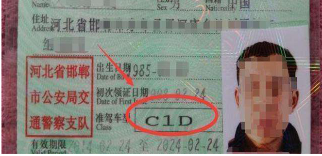 C1D驾照