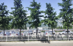 北京新月驾校-新月驾校训练场-报名费用